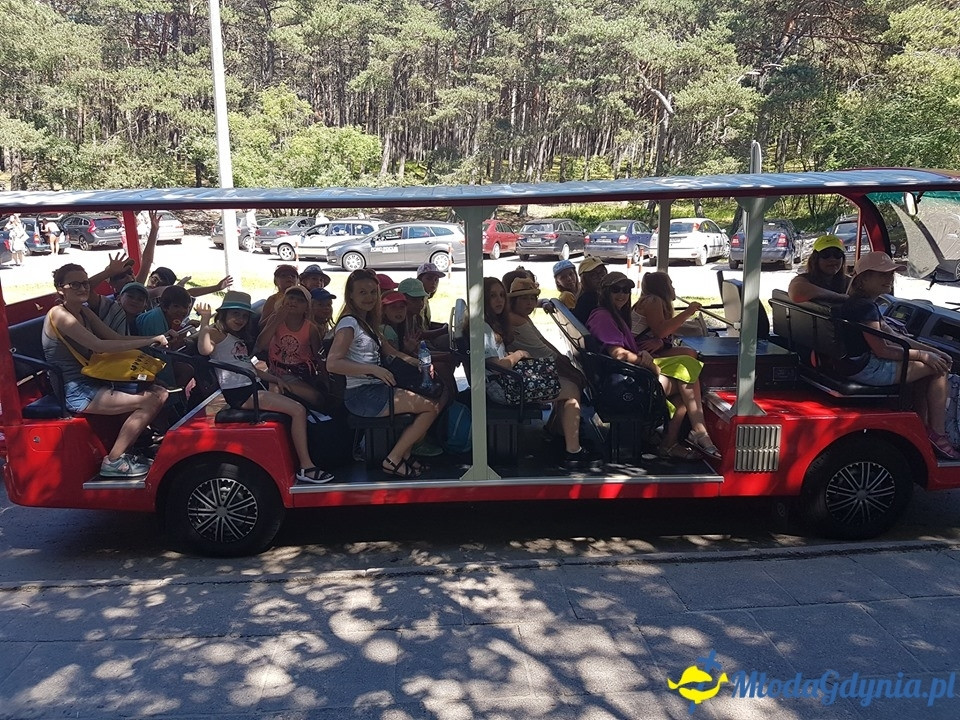 Szkoła Językowa AMBIT - Summer Camp 2019