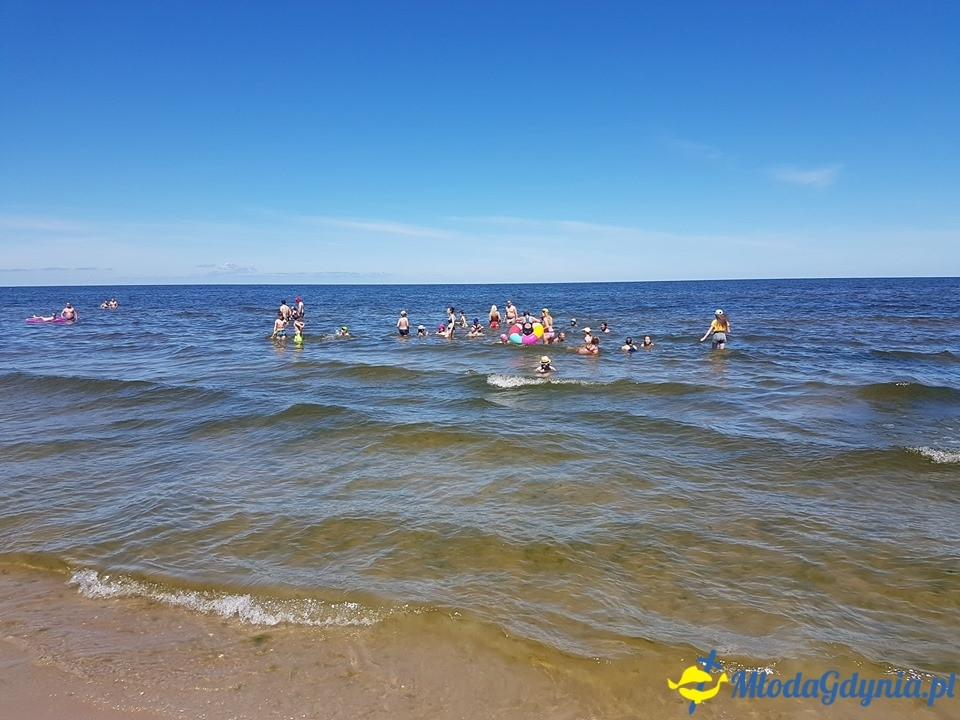 Szkoła Językowa AMBIT - Summer Camp 2019