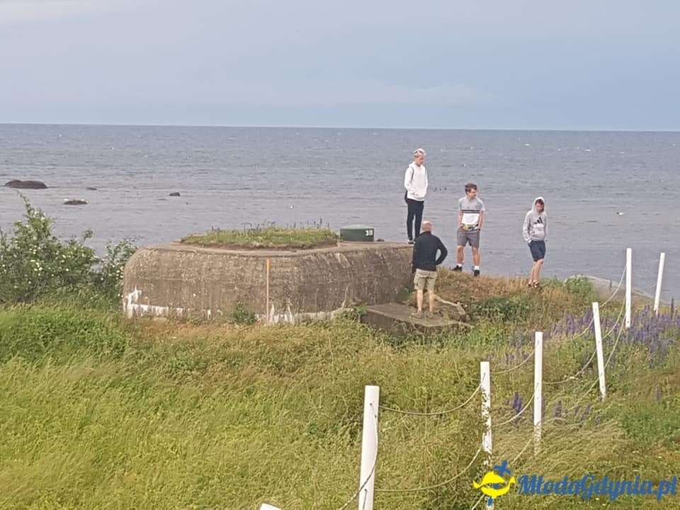 I ALO rejsem do Szwecji