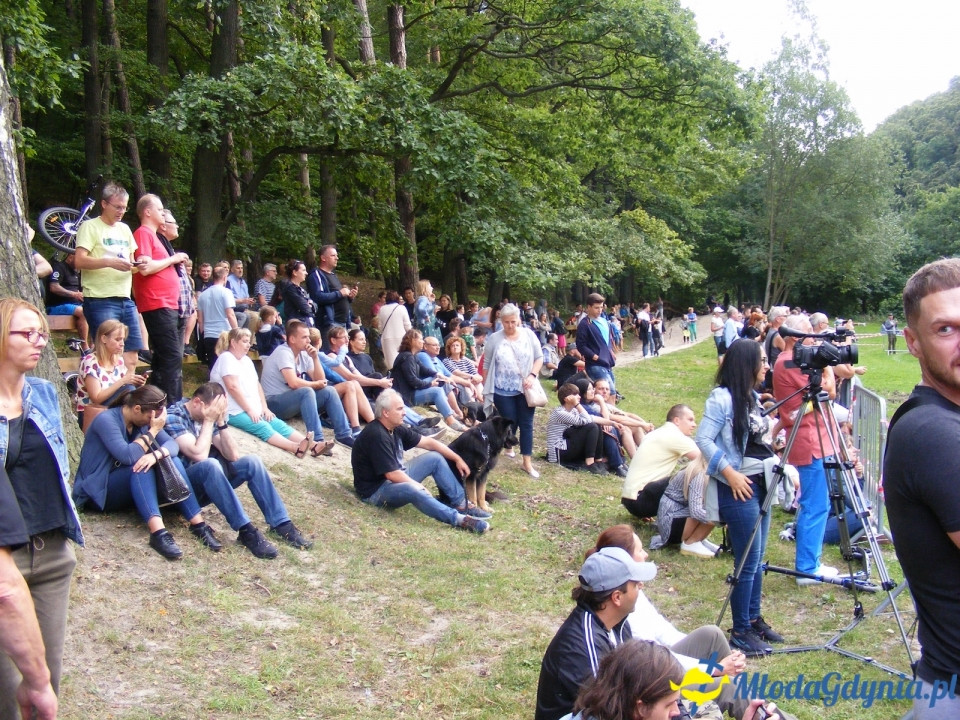 Szwedzka zasadzka na Polance Redłowskiej