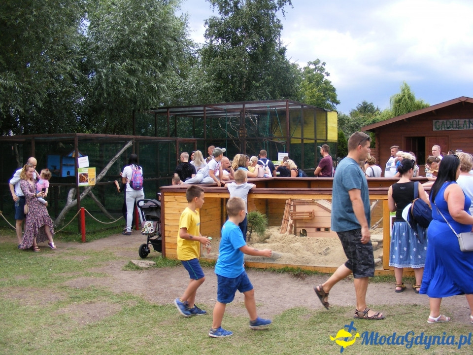 Lemur Park 16.08.2019