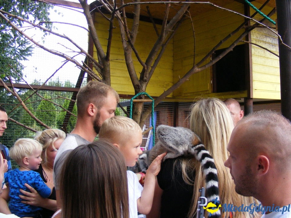 Lemur Park 16.08.2019