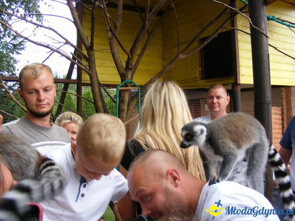 Lemur Park 16.08.2019