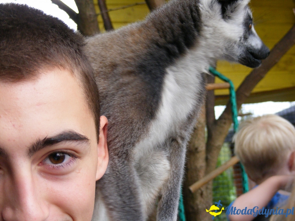 Lemur Park 16.08.2019