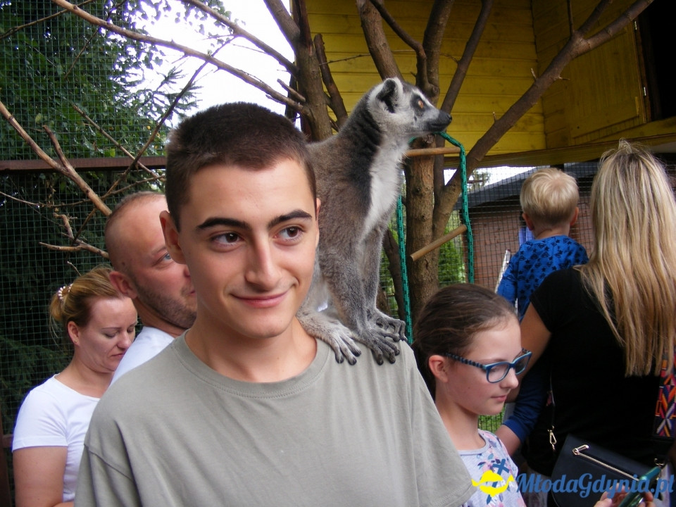 Lemur Park 16.08.2019