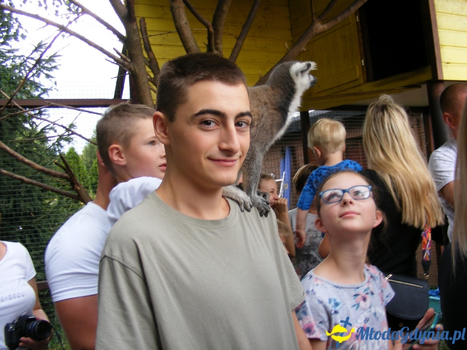 Lemur Park 16.08.2019