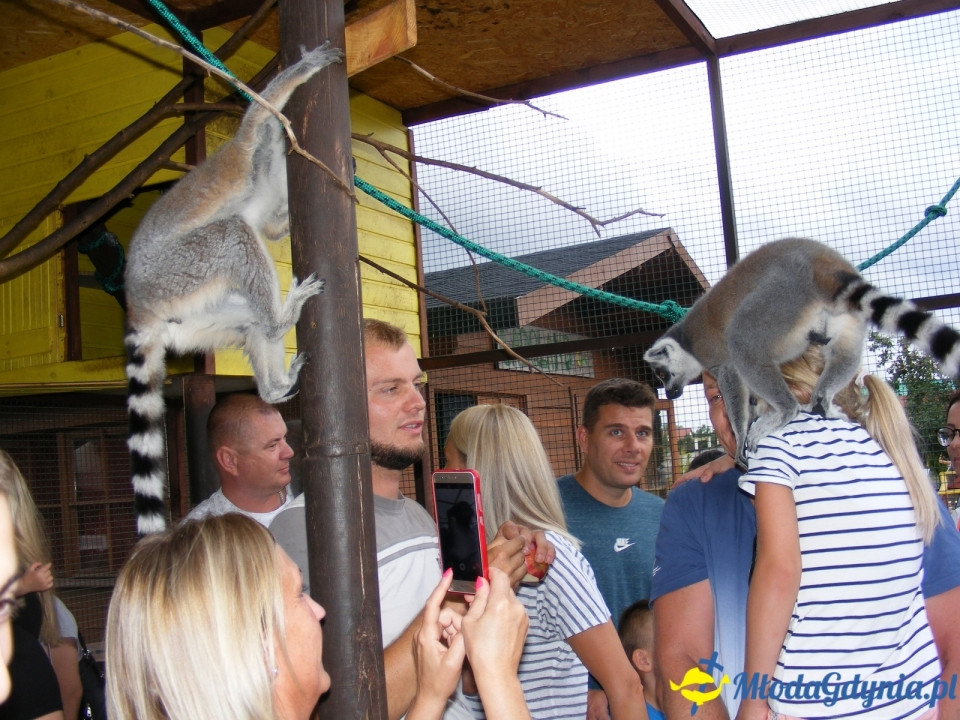 Lemur Park 16.08.2019