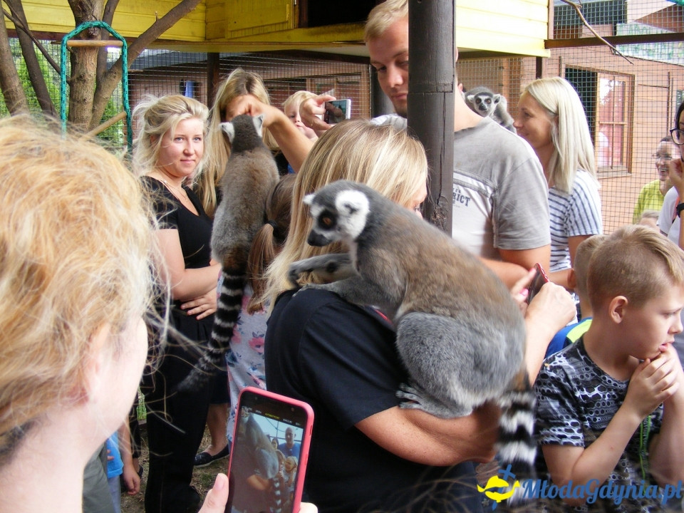 Lemur Park 16.08.2019