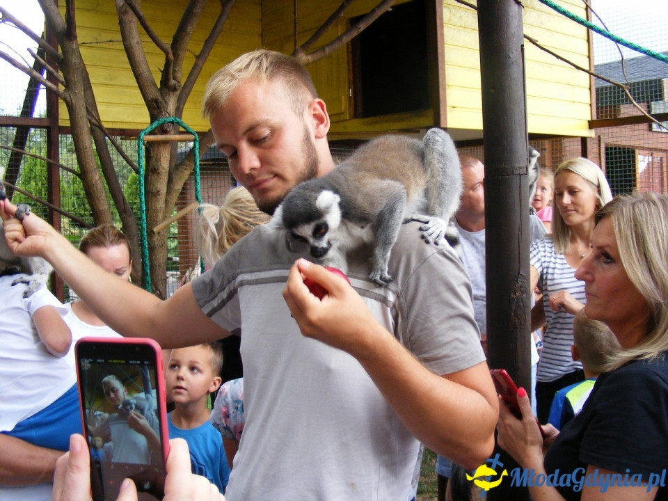Lemur Park 16.08.2019