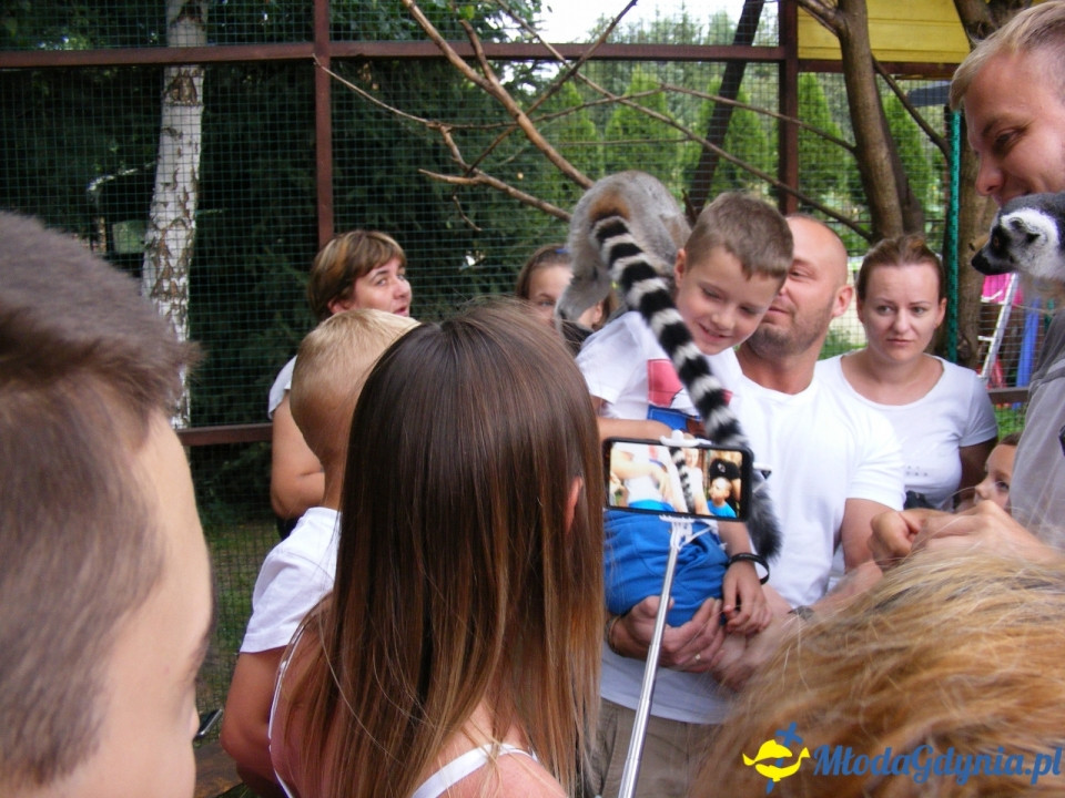 Lemur Park 16.08.2019