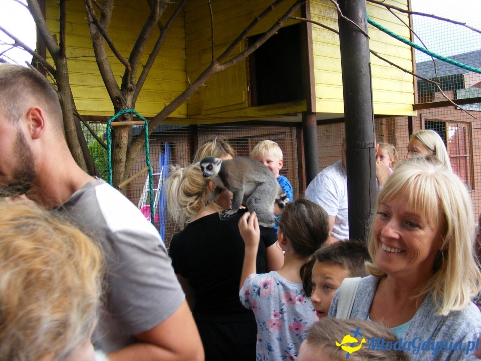 Lemur Park 16.08.2019