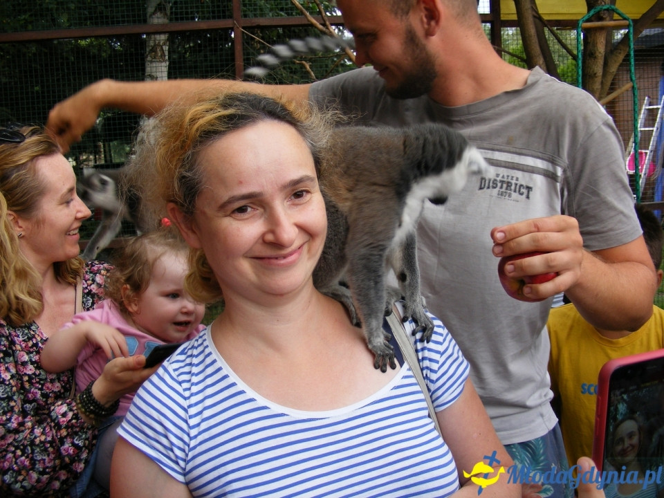 Lemur Park 16.08.2019