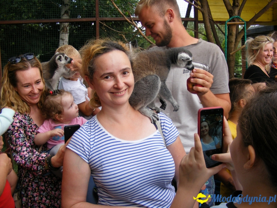 Lemur Park 16.08.2019