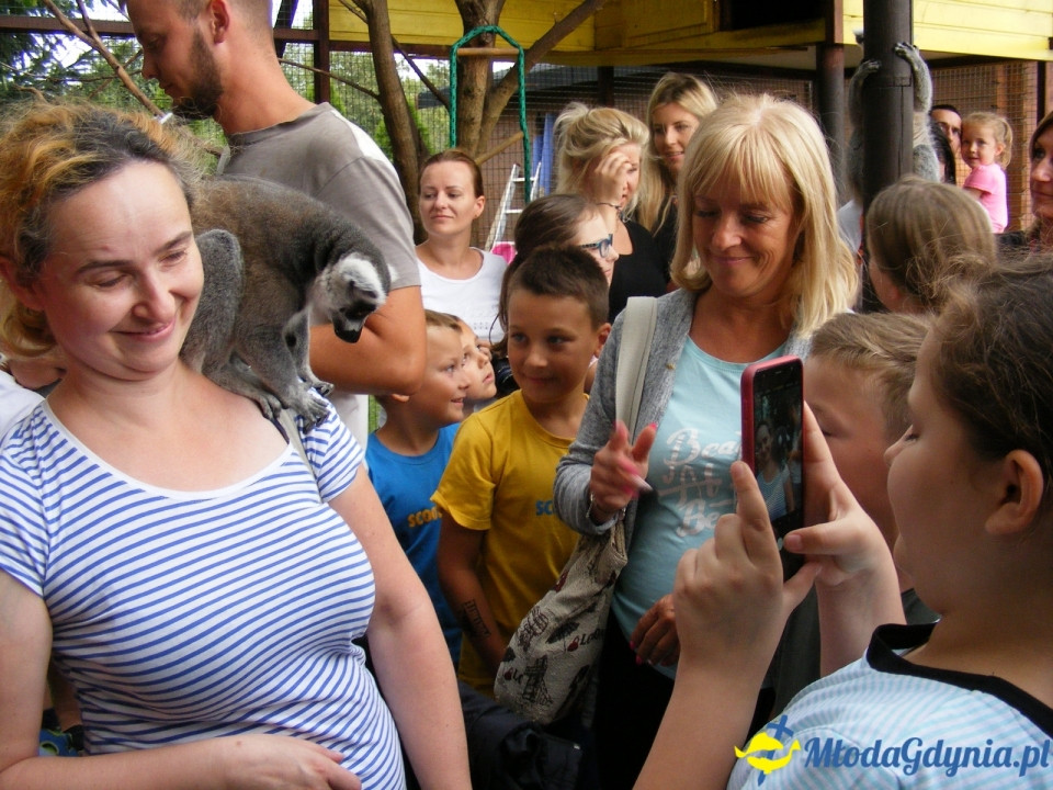 Lemur Park 16.08.2019