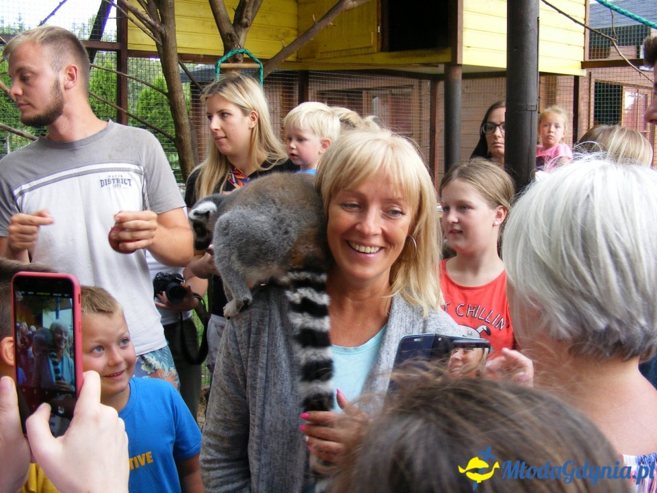 Lemur Park 16.08.2019