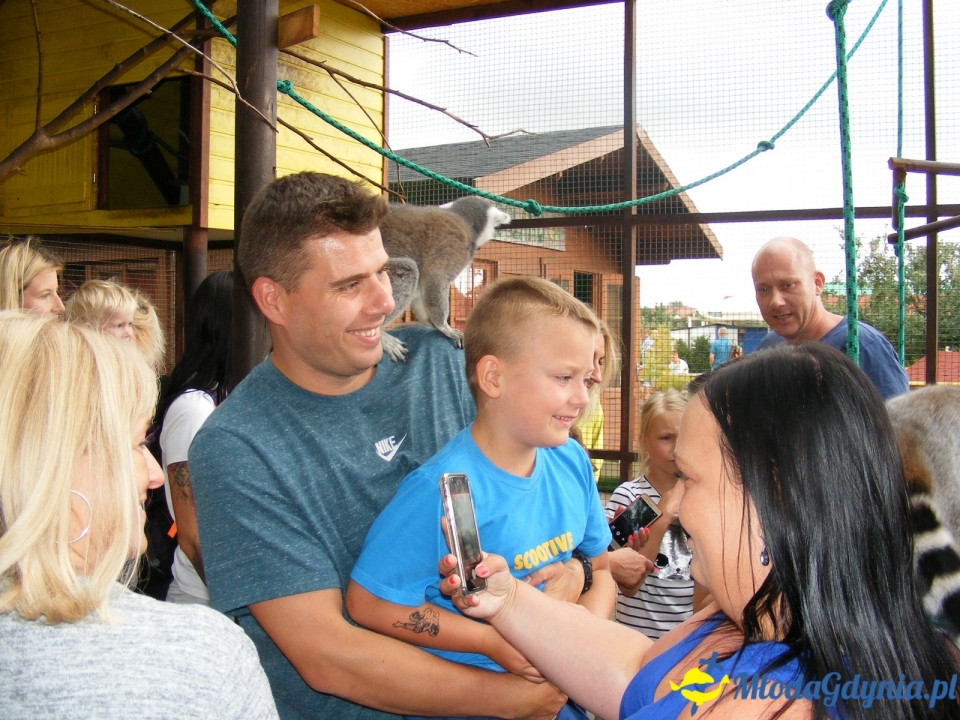 Lemur Park 16.08.2019