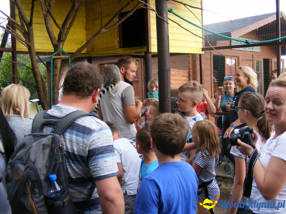 Lemur Park 16.08.2019