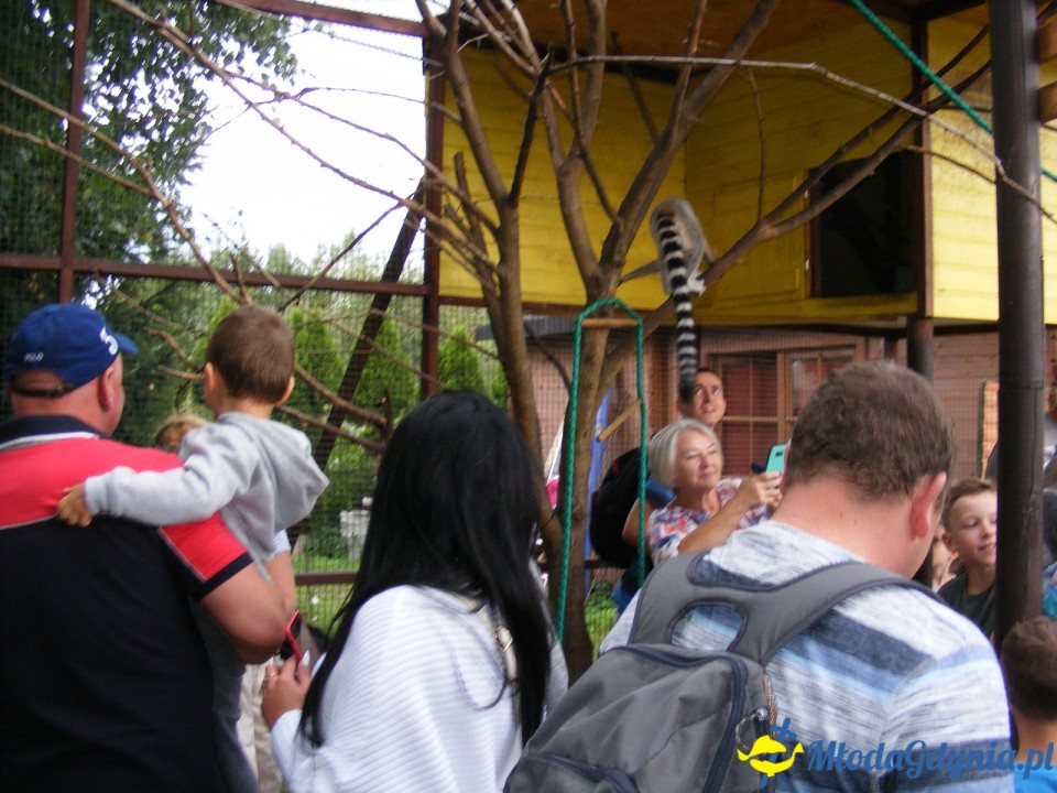 Lemur Park 16.08.2019