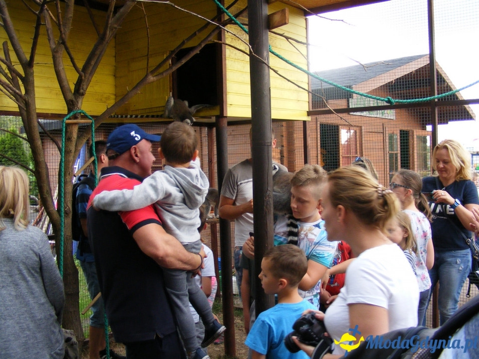 Lemur Park 16.08.2019