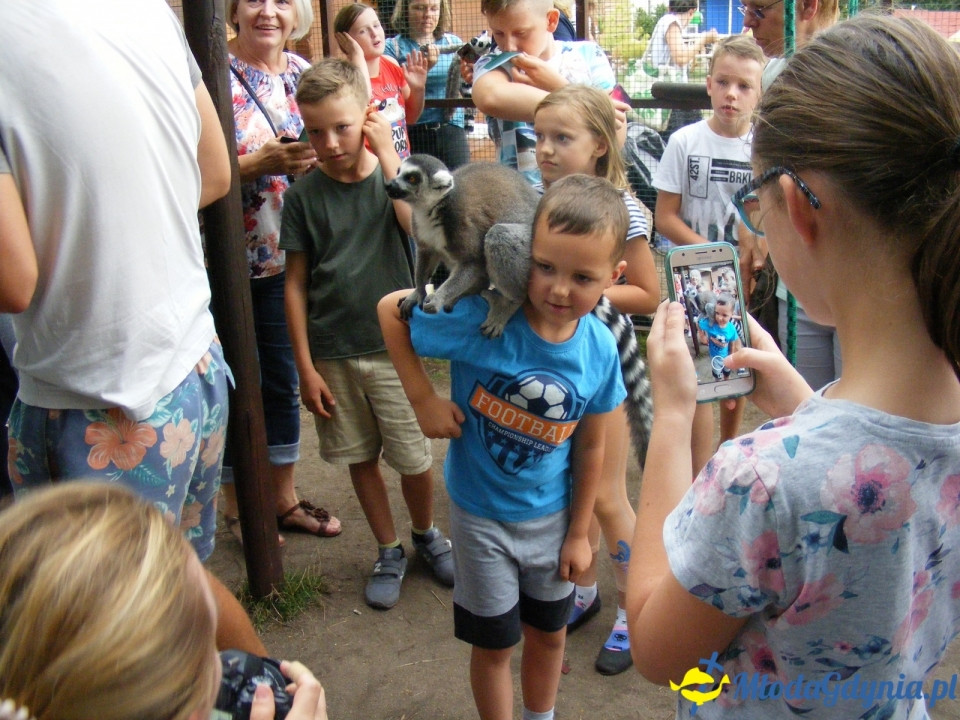 Lemur Park 16.08.2019