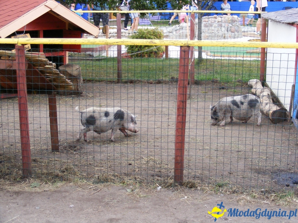 Lemur Park 16.08.2019