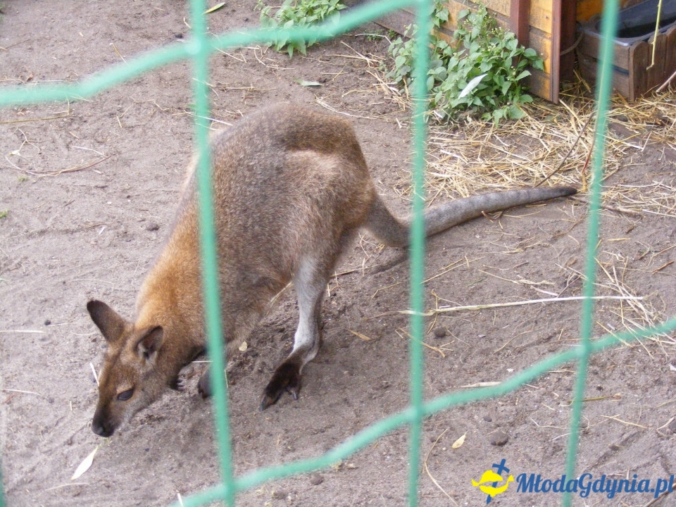 Lemur Park 16.08.2019