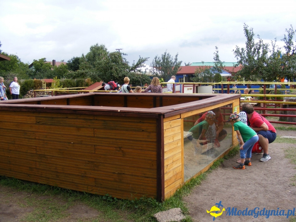 Lemur Park 16.08.2019