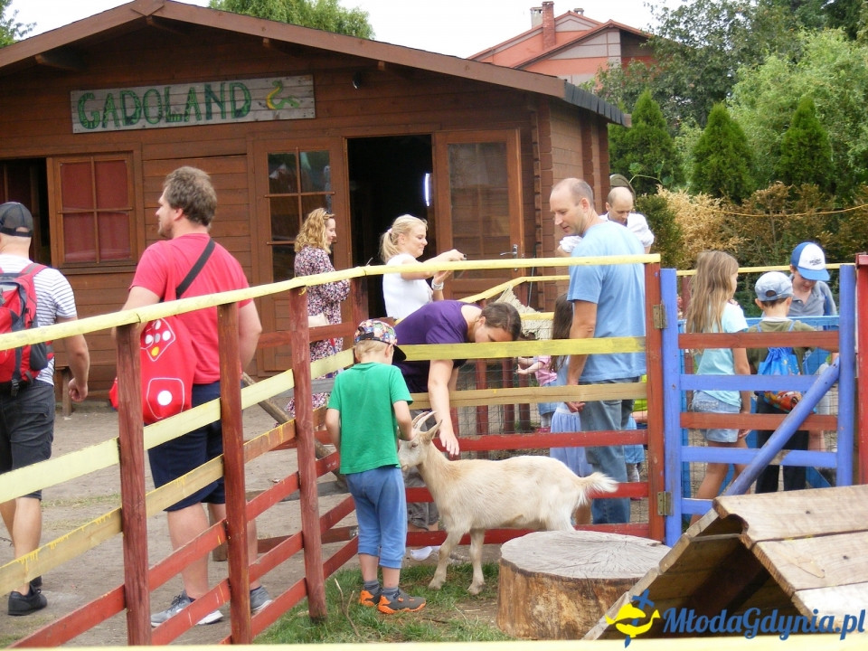 Lemur Park 16.08.2019