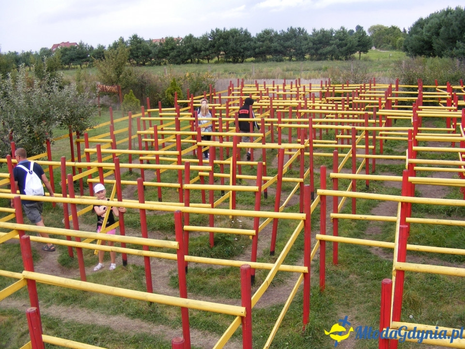 Lemur Park 16.08.2019