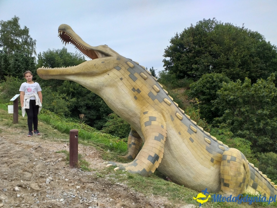 Ocean Park Władysławowo 17.08.2019