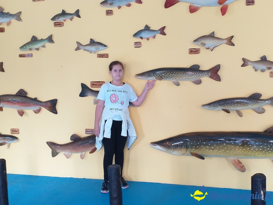 Ocean Park Władysławowo 17.08.2019