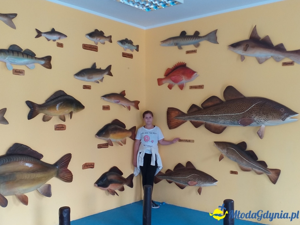 Ocean Park Władysławowo 17.08.2019