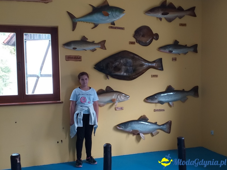 Ocean Park Władysławowo 17.08.2019