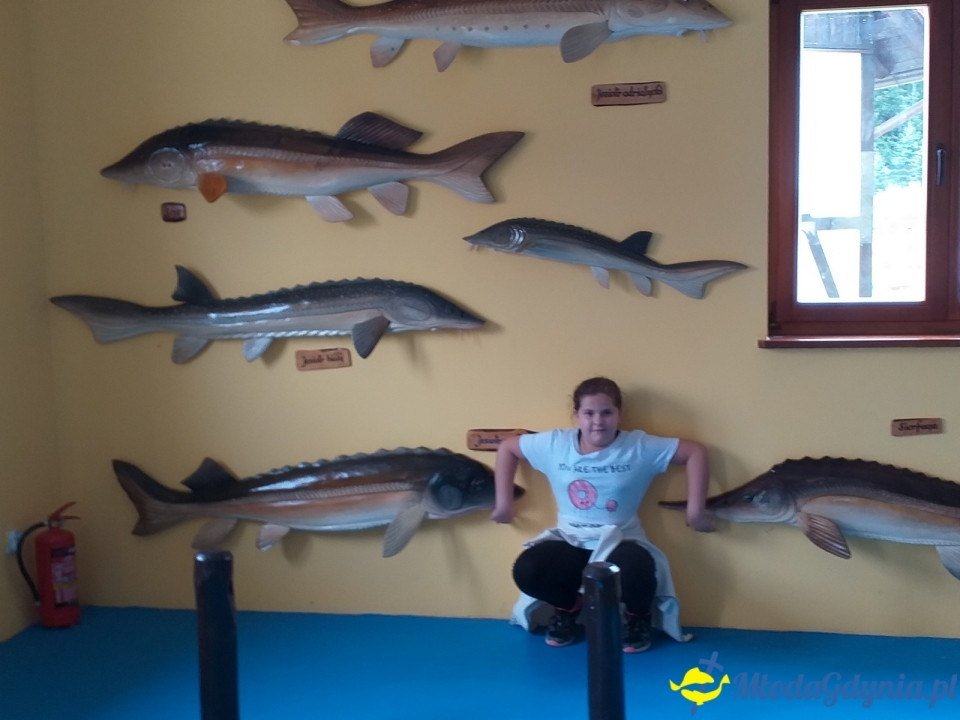 Ocean Park Władysławowo 17.08.2019