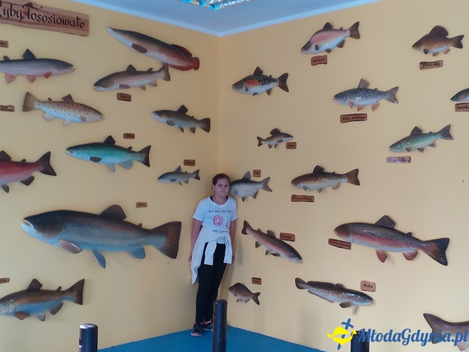 Ocean Park Władysławowo 17.08.2019