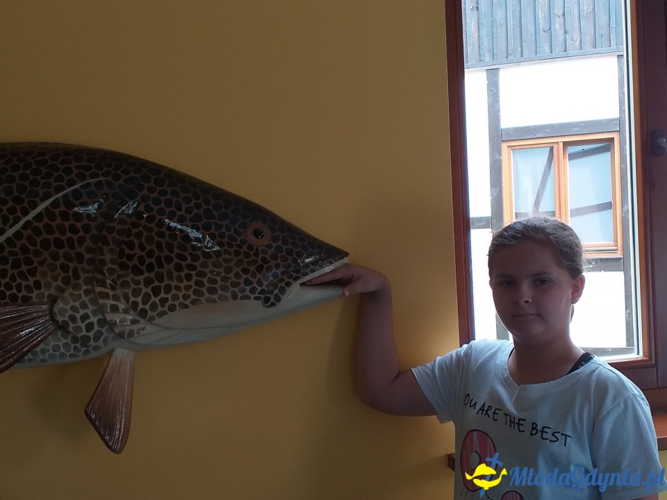 Ocean Park Władysławowo 17.08.2019