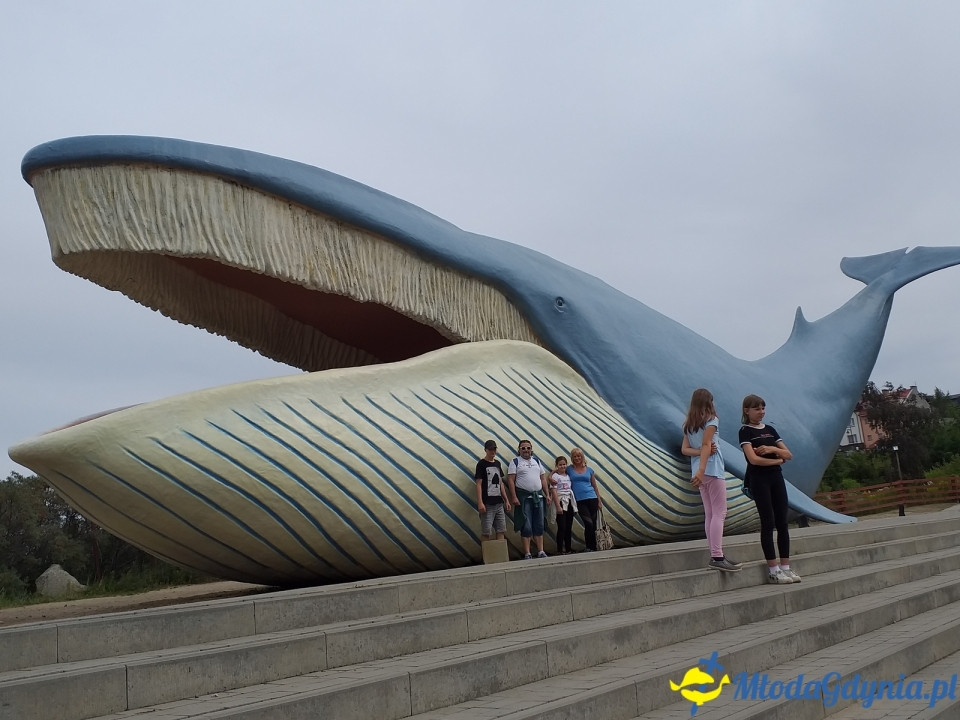 Ocean Park Władysławowo 17.08.2019