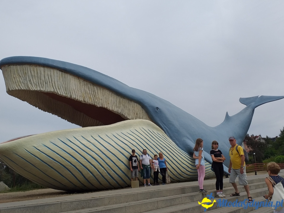 Ocean Park Władysławowo 17.08.2019