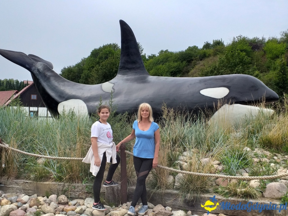 Ocean Park Władysławowo 17.08.2019