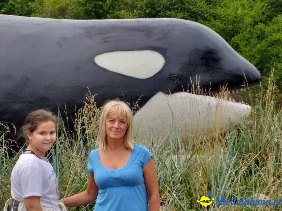 Ocean Park Władysławowo 17.08.2019