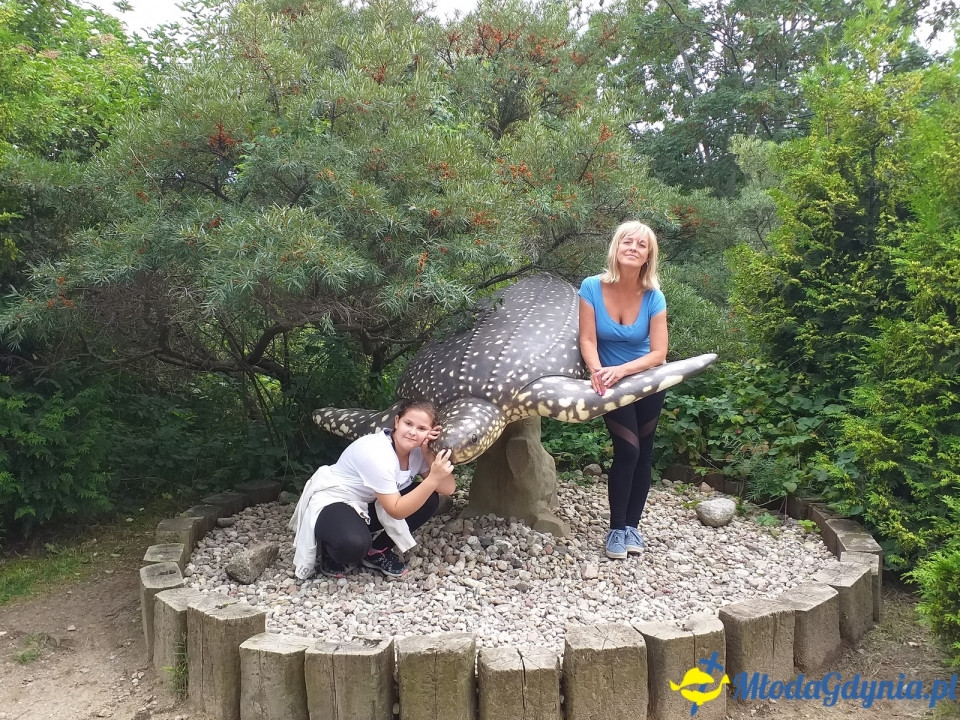 Ocean Park Władysławowo 17.08.2019