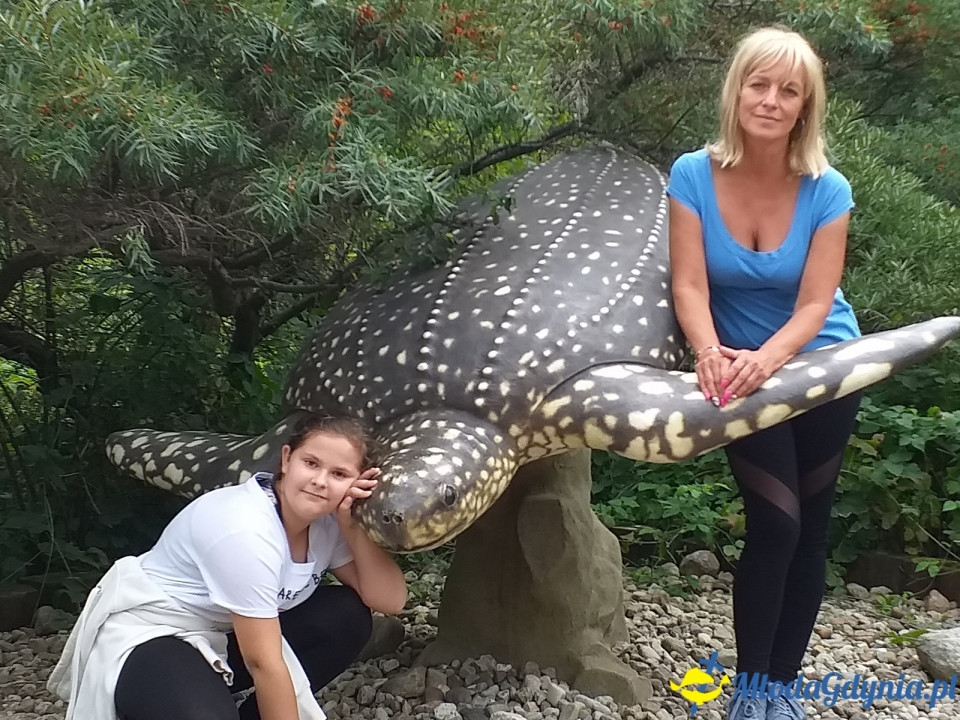 Ocean Park Władysławowo 17.08.2019