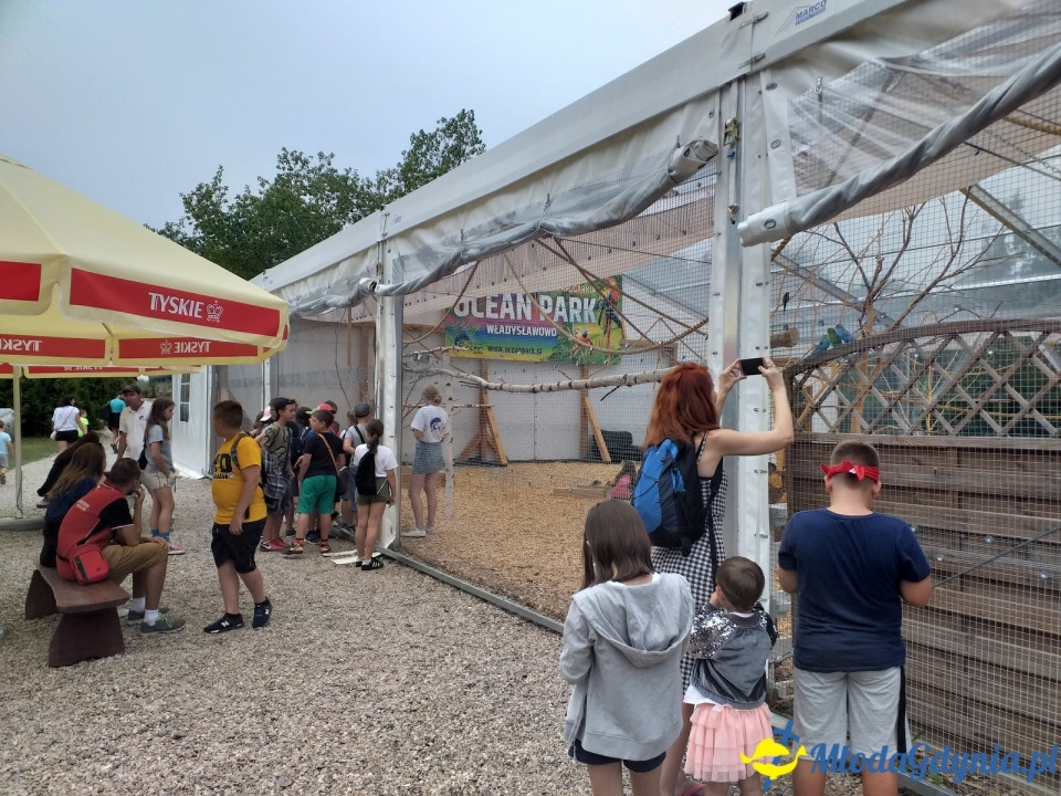 Ocean Park Władysławowo 17.08.2019