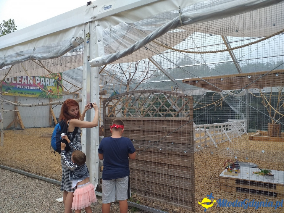 Ocean Park Władysławowo 17.08.2019
