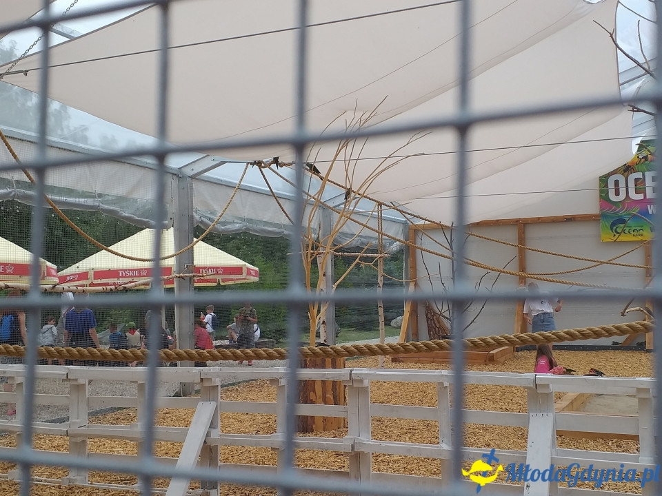 Ocean Park Władysławowo 17.08.2019