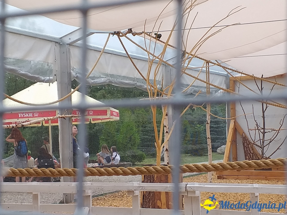 Ocean Park Władysławowo 17.08.2019