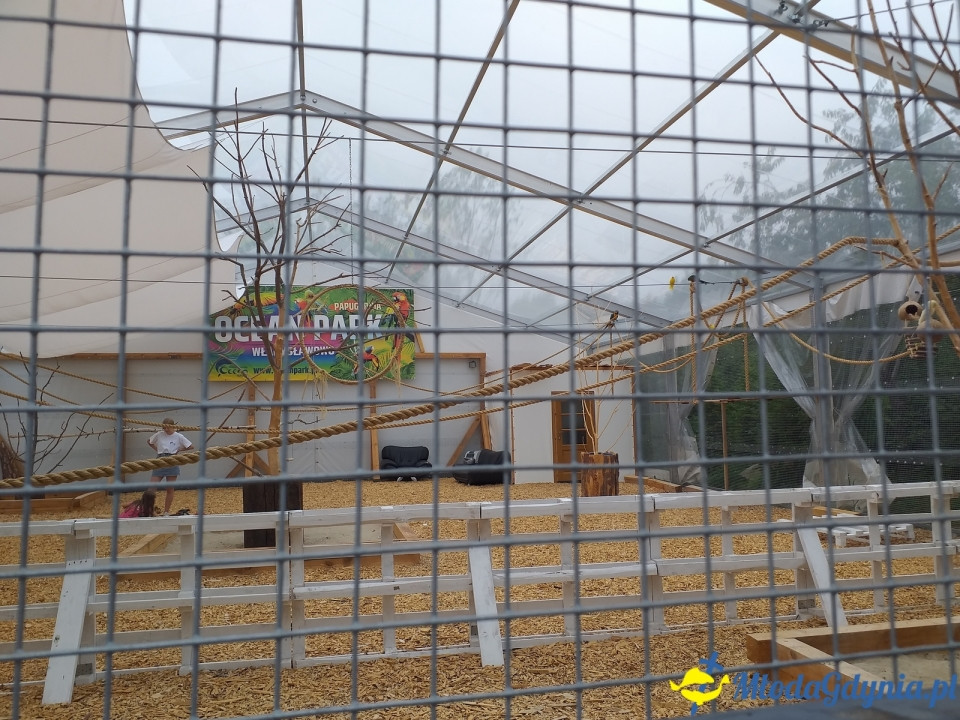 Ocean Park Władysławowo 17.08.2019