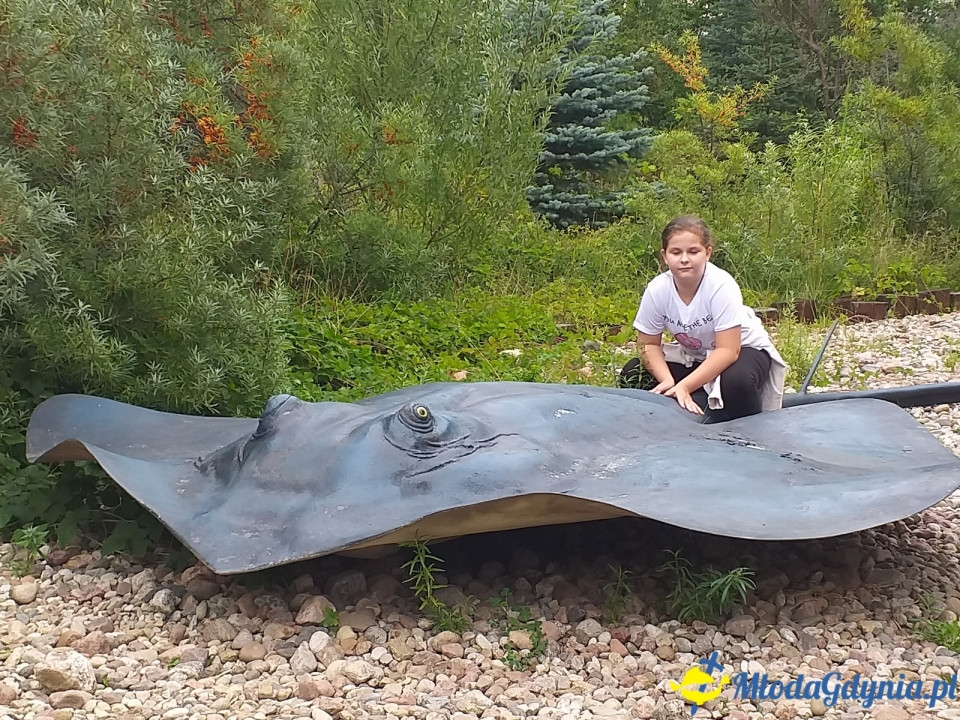 Ocean Park Władysławowo 17.08.2019