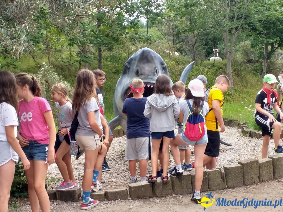 Ocean Park Władysławowo 17.08.2019