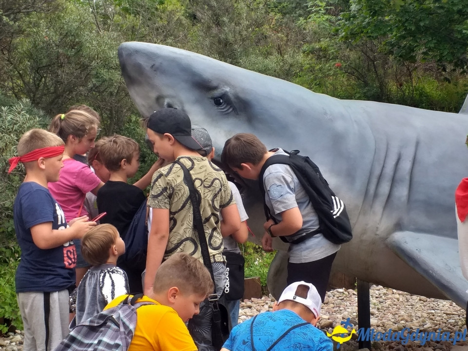 Ocean Park Władysławowo 17.08.2019